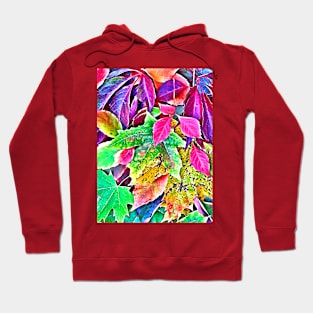 Fall Leaves Hoodie